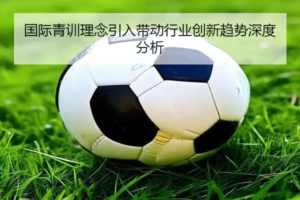 国际青训理念引入带动行业创新趋势深度分析