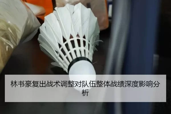 林书豪复出战术调整对队伍整体战绩深度影响分析