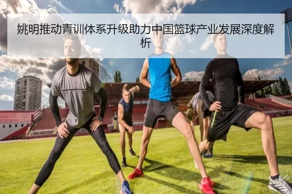 姚明推动青训体系升级助力中国篮球产业发展深度解析