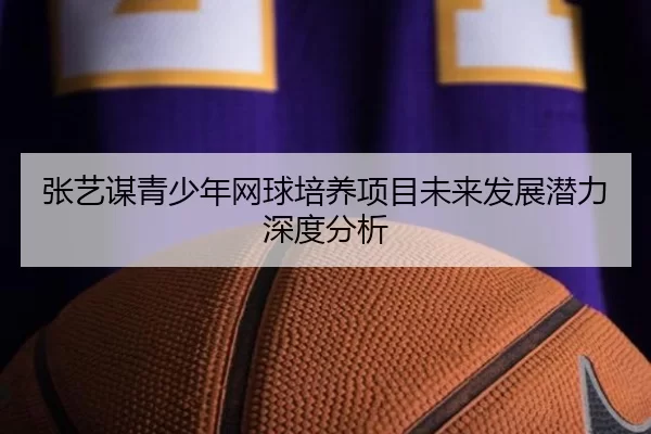 张艺谋青少年网球培养项目未来发展潜力深度分析